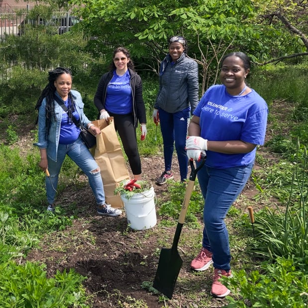 Group of UNFCU staff members volunteering outdoors.