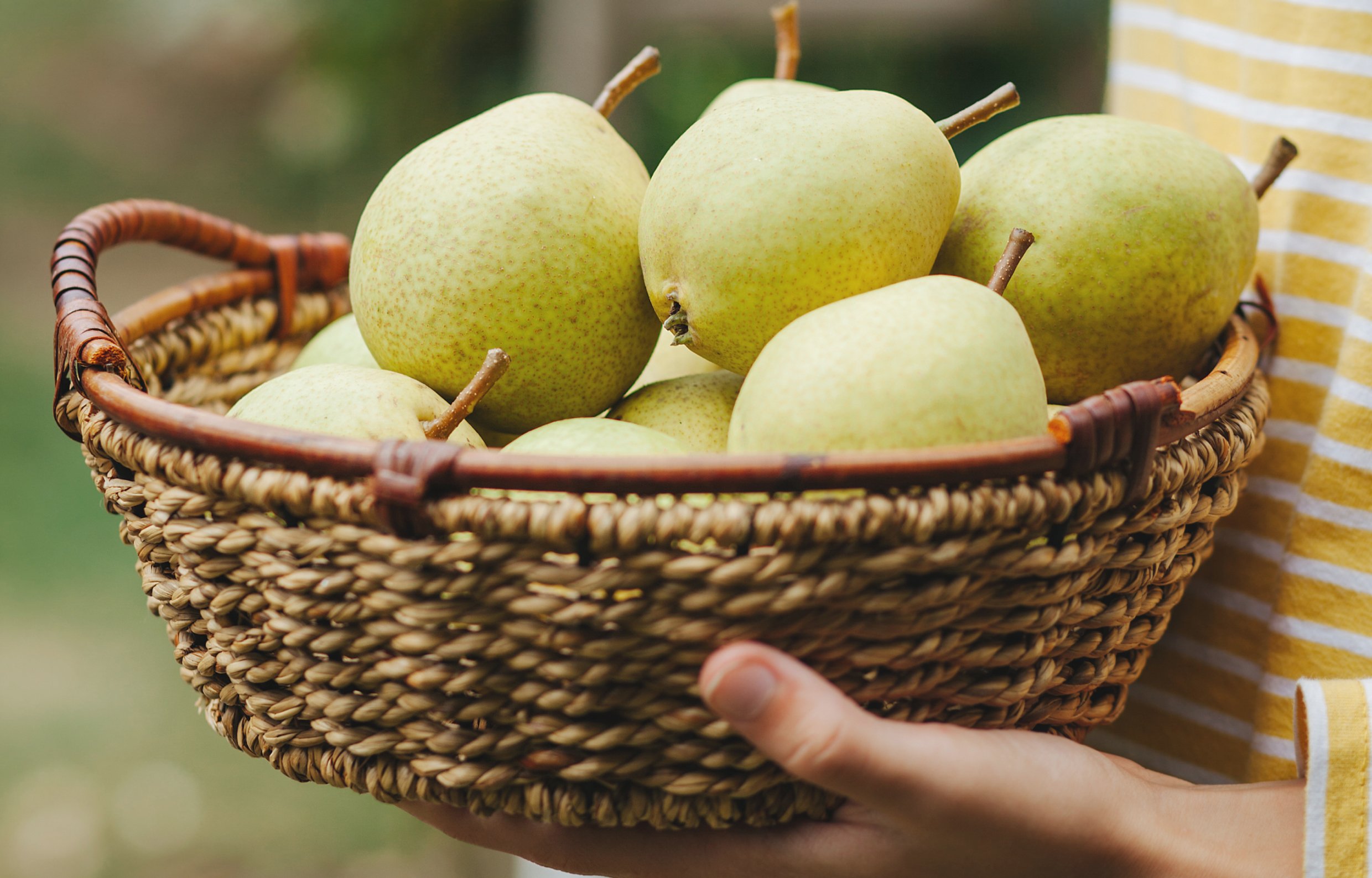 A basket of fruit