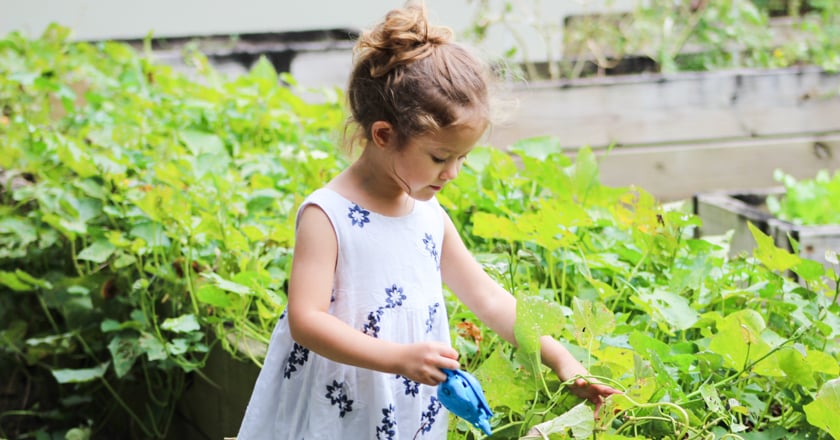 Toddler in a garden.