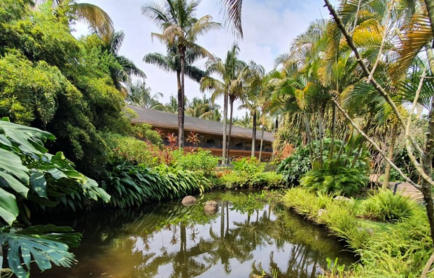 House in nature.