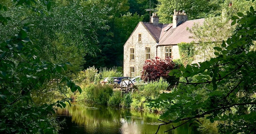 House in nature.