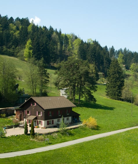 House in nature.