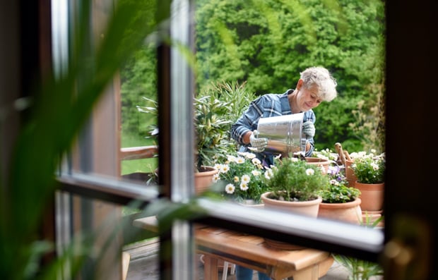 Individual potting plans in their back yard.